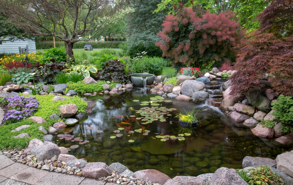 Ecosystem pond in whatcom county