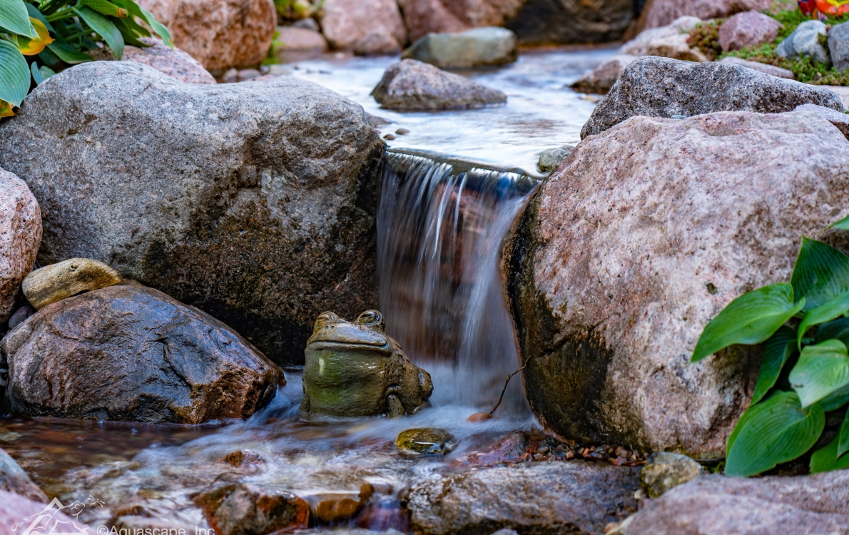 natural waterfall and stream in bellingham