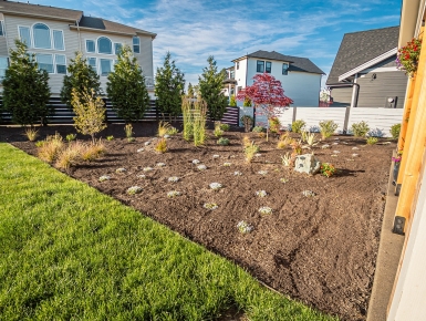 3 Budget-Friendly Ways to Enhance Your Landscape