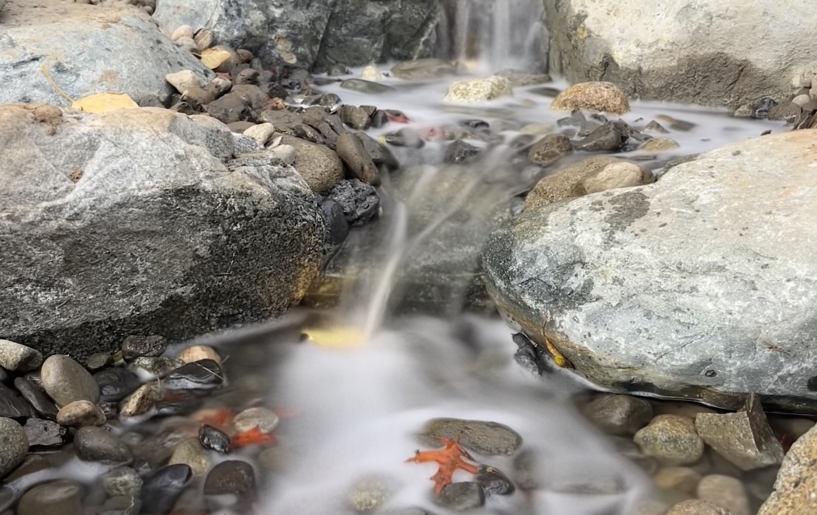 Natural water feature