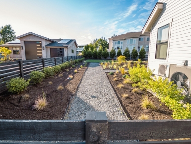 Planting and Maintenance