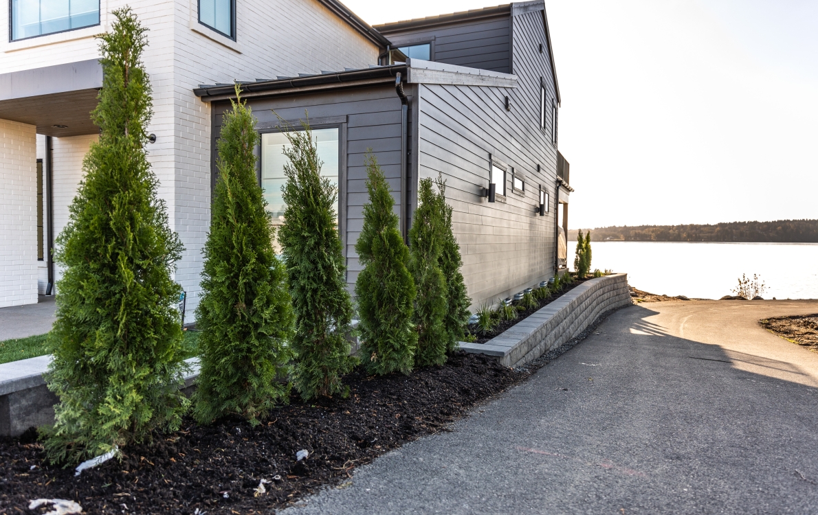 Landscaping and retaining wall